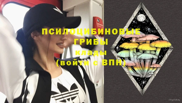 МДПВ Армянск